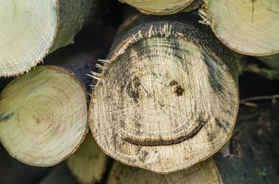 wood-log-laugh-funny-face-smiley-holzstapel-make-wood-heat.jpg
