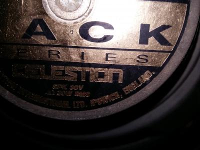 Marshall Parlante 4.jpg