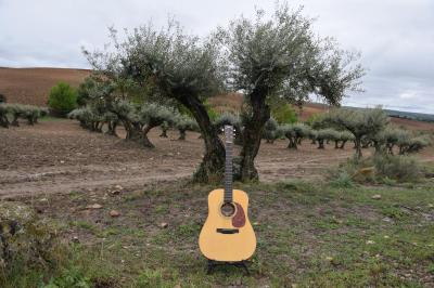 THOMPSON OLIVO_58113397_2422869097746385_3868620495414886400_o.jpg