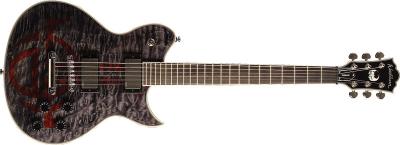 washburn WI66ANC.jpg