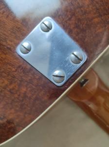 WhatsApp Image 2023-10-21 at 16.11.23.jpeg