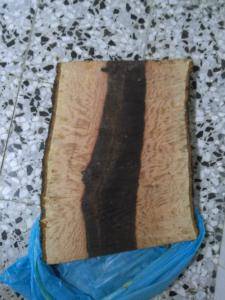 2014-04-14 20.44.21.jpg