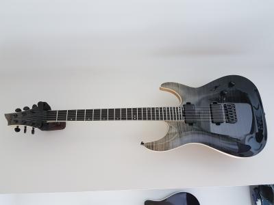Schecter front.jpg