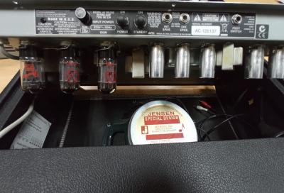 WhatsApp Image 2021-05-11 at 10.31.34.jpeg