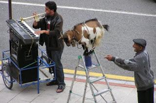 gitano cabra trompeta.jpg