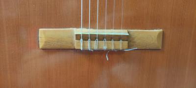 WhatsApp Image 2022-06-30 at 2.18.52 PM.jpeg