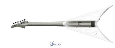 My-Halo-Custom-Guitar (3).jpg