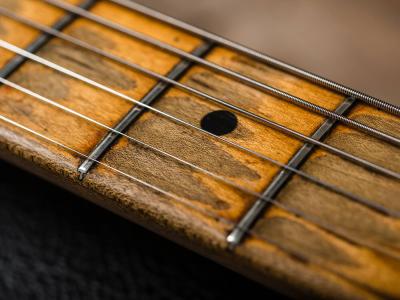 VBT-1952-Blackguard-Telecaster-Fretboard2-@1400x1050.jpg