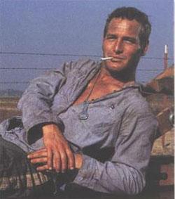 20090227093052-paul-newman.jpg