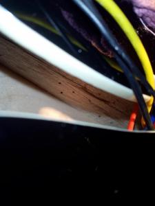 87385437_2521848974723949_4570317627871723520_n (1).jpg