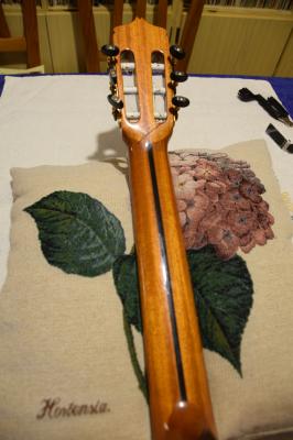 TRASERA MASTIL_DSC_0414.JPG