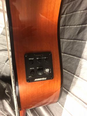 Guitarra FISHAMN.jpg