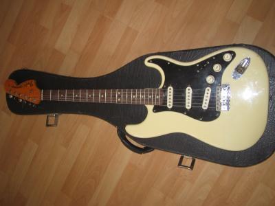 Sthil diamnt  stayer bat.Cash 071.JPG