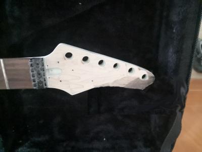 IMG_20230216_115054 copia.jpg