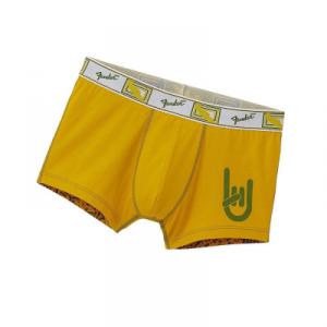 gayumbos Fender amarillos.JPG