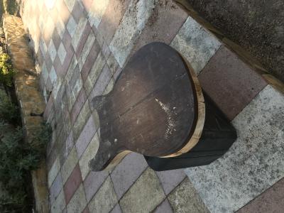 IMG_8816 3:8:2018 3:8:2018.jpg