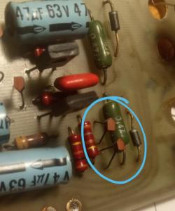 WhatsApp Image 2021-12-26 at 19.07.36.jpeg