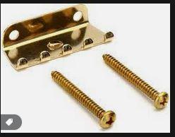 Floyd Rose Brass Claw.JPG