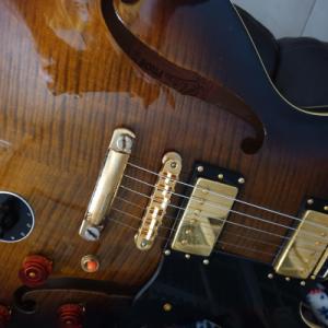 Aria_pro_2_ES500 (2).jpg