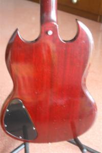 IMG_9560 (Large).JPG