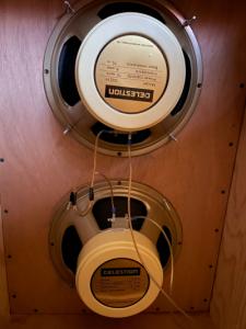 WhatsApp Image 2024-03-18 at 09.25.16.jpeg