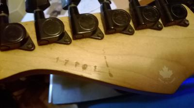 Godin Serial Number.JPG