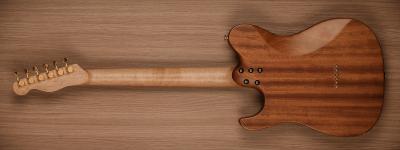 TCustom Web Intro-2.jpg