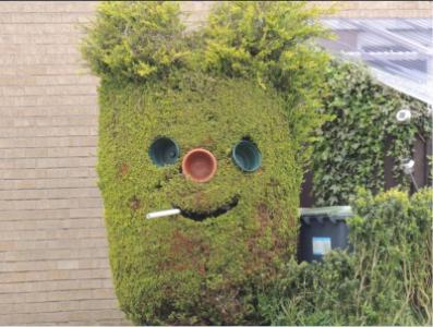 Captura de pantalla 2023-02-01 085707.jpg