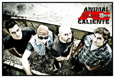 Cartel STD768_1080.jpg