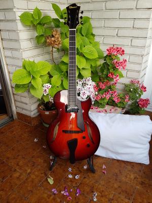 FIBONACCI DIABLO_.jpg