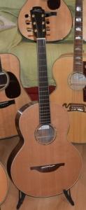 LOWDEN S-35 12 FRET_imag.jpg