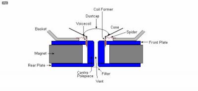 corte de un altavoz.JPG