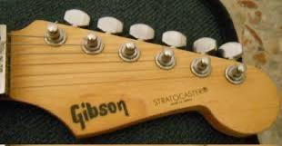 hey-guys-is-this-a-real-gibbons-i-cant-tell-because-im-an-v0-vw26pkjvqmac1.jpeg