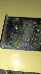 WhatsApp Image 2024-10-11 at 12.02.05 PM.jpeg