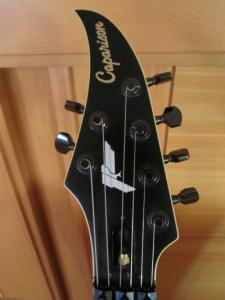 004 Caparison.JPG