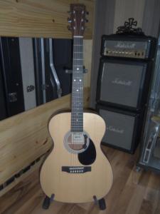Martin U.S.A OM1GT.JPG