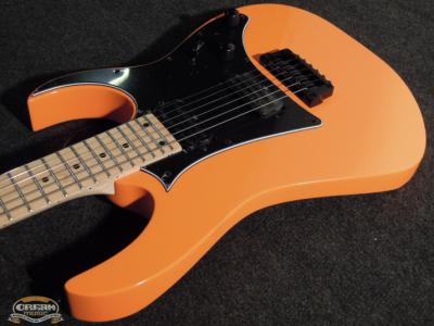 10814_1_IBANEZ_RG331M-BOR_RG_E-Gitarre_1.jpg
