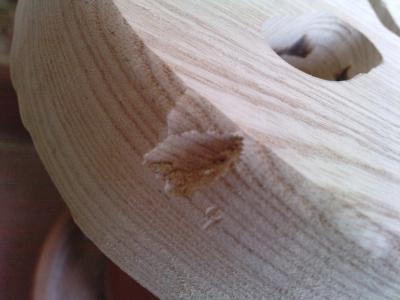 cuerpo mordisco1.jpg