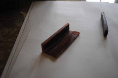 hueso desmontado.jpg