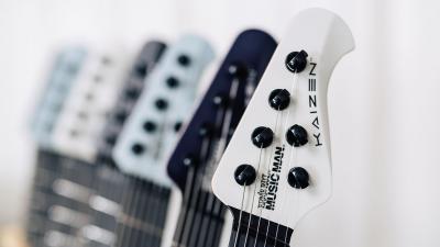 steinberger.jpg.pagespeed.ce.3B1pFpBCuq.jpg