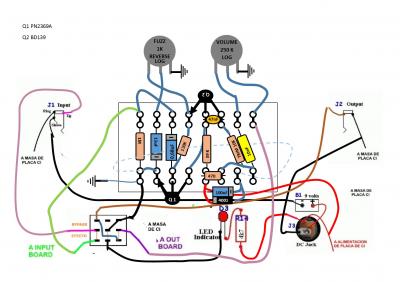 Axis Face corregido.jpg