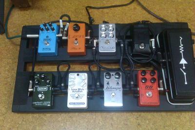 Pedaltrain Verano 2015.jpg