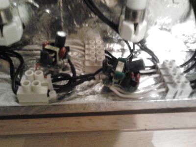 2018-03-05 19.57.30.jpg