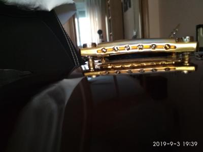 Les Paul Altura Cordal 2.jpg