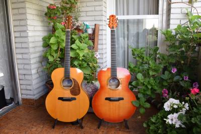 LARKIN JUMBO 1999 Y 2004.jpg