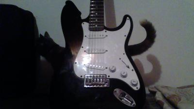 PANDORA - WIN_20140717_225220.JPG