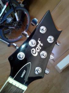 Marca dorada y cejuela.jpg