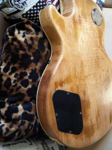 12 - CUERPO - LAT DER.JPG