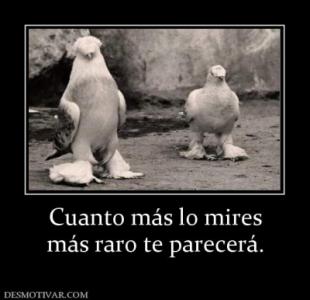 31288_cuanto_mas_lo_mires_mas_raro_te_parecera.jpg