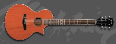 Garcia The Exotic Acustic Guitar.jpg